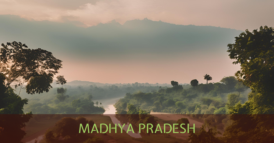 Madhya Pradesh – The Artistic Traditions of the Baiga Tribe