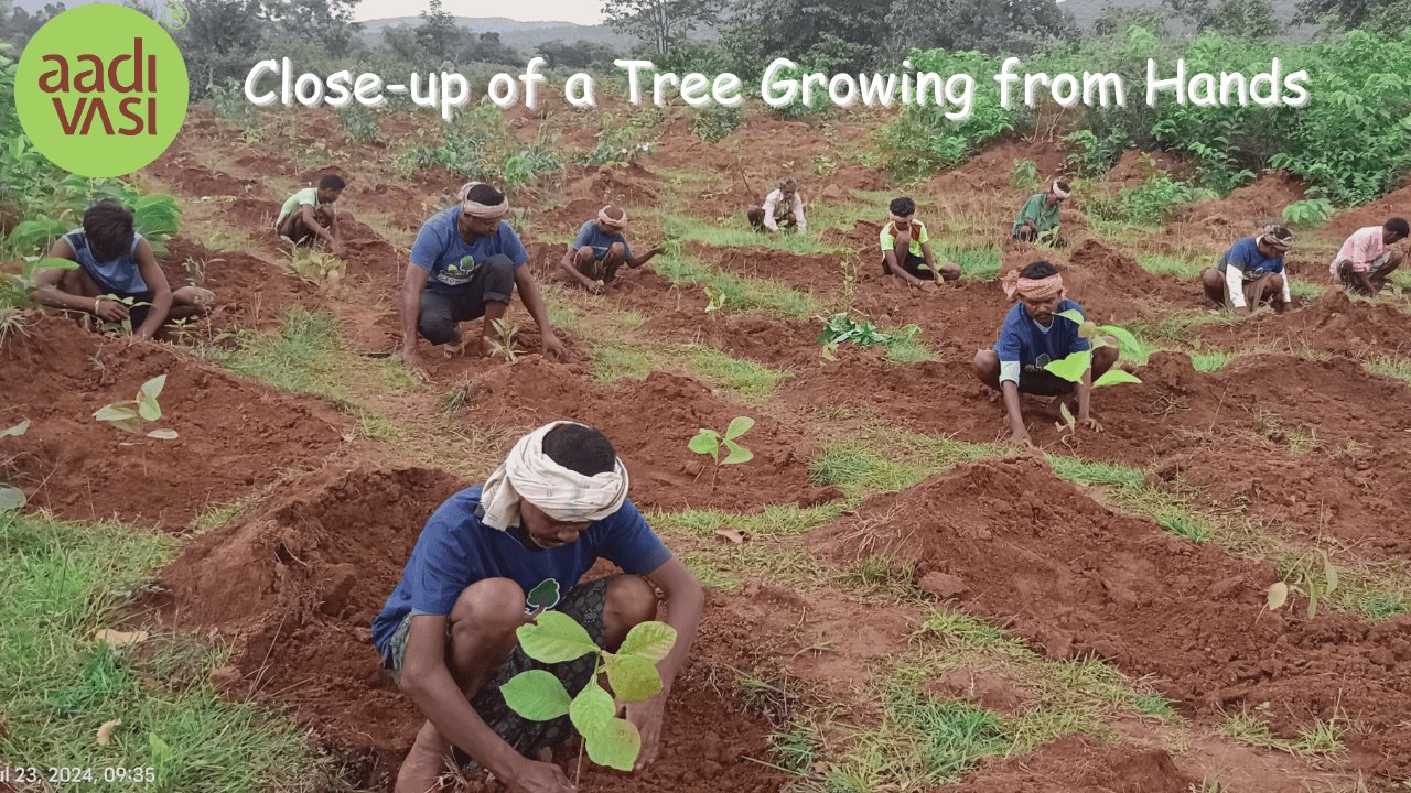 Gift a Tree, Grow a Legacy: How Your Gift Can Empower Adivasi Communities