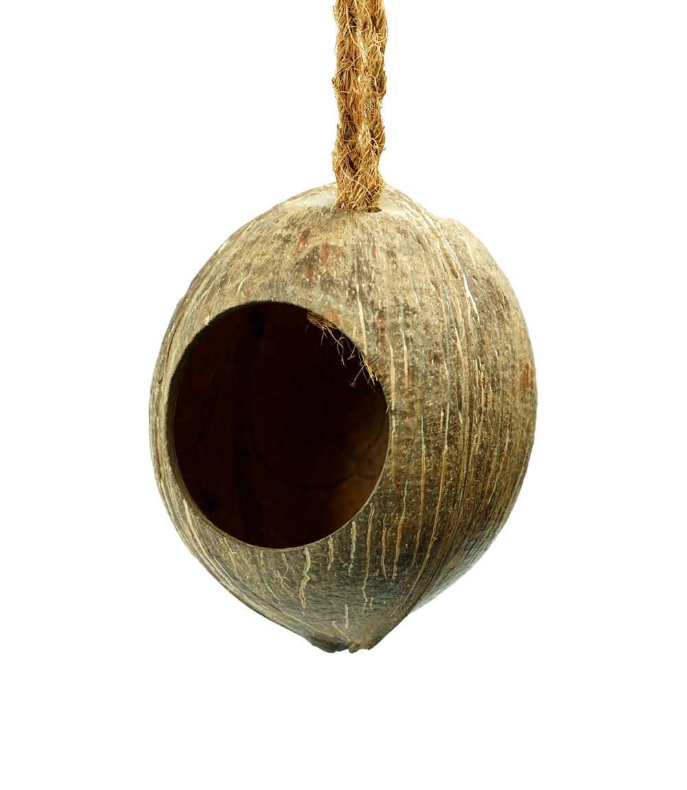 Coconut Shell Bird Feeder and Nest