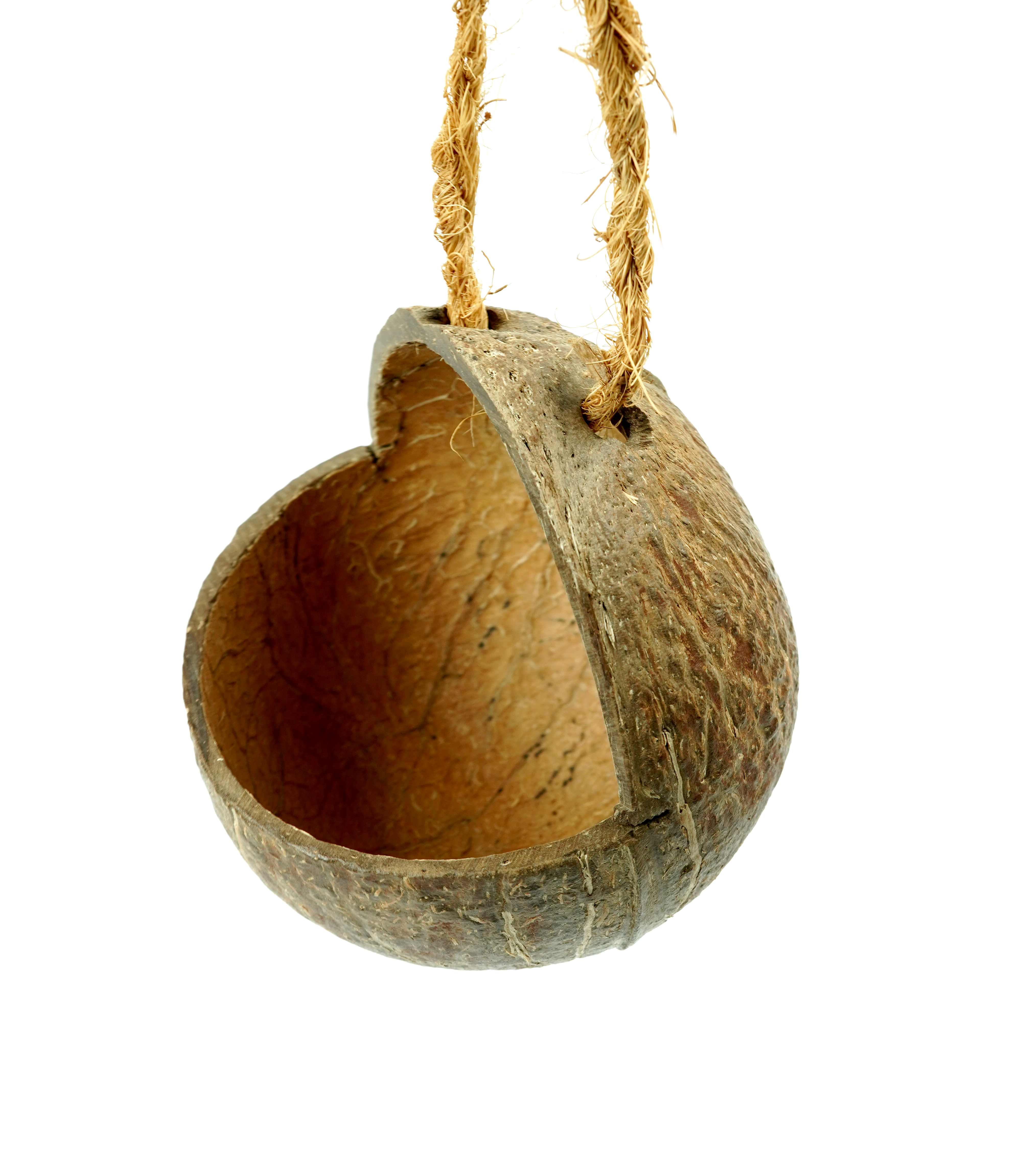 Coconut Shell Bird Feeder and Nest