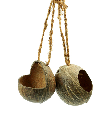 Coconut Shell Bird Feeder and Nest