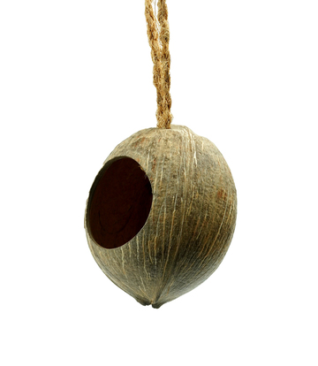 Coconut Shell Bird Feeder for Backyard and Garden